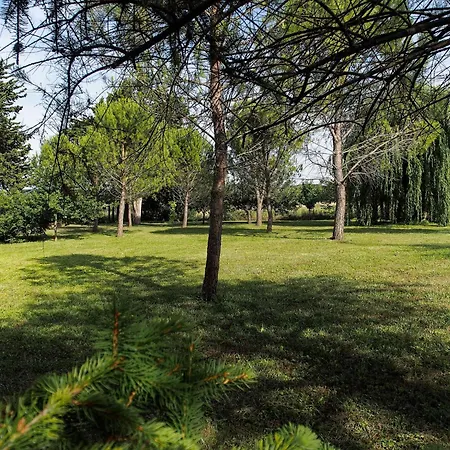 Ferienhaus Le Clos Gernick - Climatise - Piscine 10x5 - Parc Visan